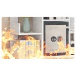 Вогнестійкий сейф для документів (51)